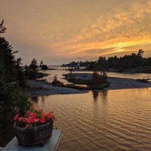 Meet your Posher, Madeleine